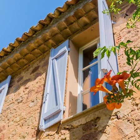 Chateau Des Bertrands Le Cannet-des-Maures Ngoại thất bức ảnh